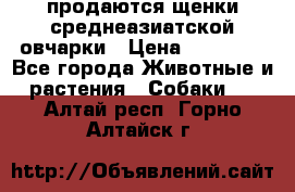 продаются щенки среднеазиатской овчарки › Цена ­ 30 000 - Все города Животные и растения » Собаки   . Алтай респ.,Горно-Алтайск г.